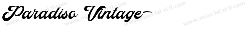 Paradiso Vintage字体转换